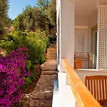Hotel Olea Nova 3*