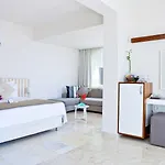Olea Nova