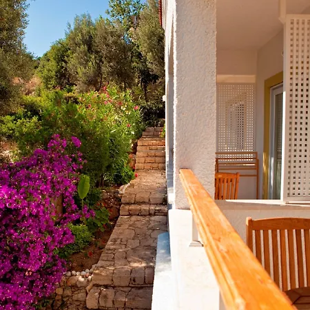 מלון Olea Nova 3*