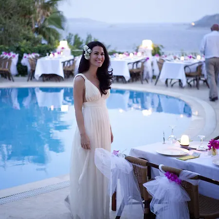 מלון Olea Nova 3*