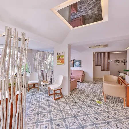 Olea Nova מלון קס