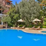 Olea Nova 3*